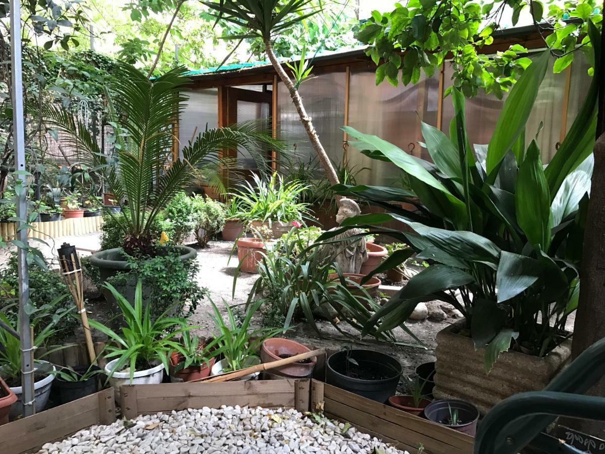 La Casa Di Elena Pensión *